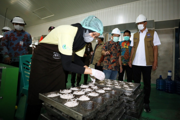 Cegah Bencana, Pemprov Babel Didorong Beralih ke Perkebunan Sagu