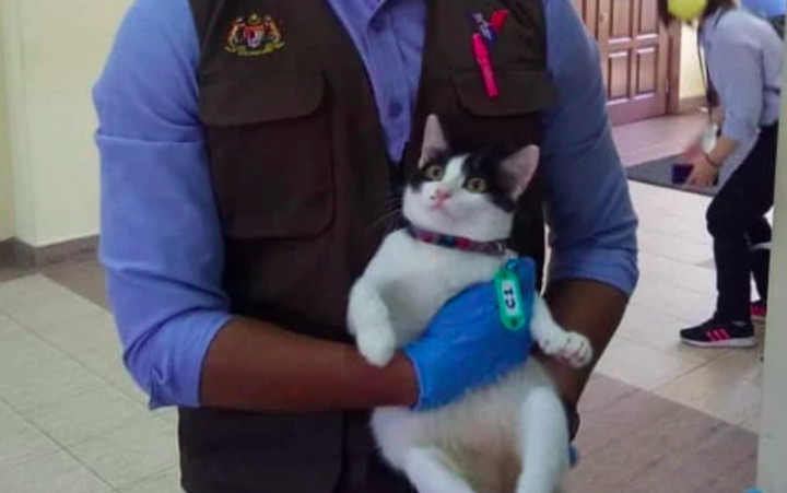 Kucing Lumpuh Jadi Bukti Pengadilan Terkait Tindak Penyiksaan