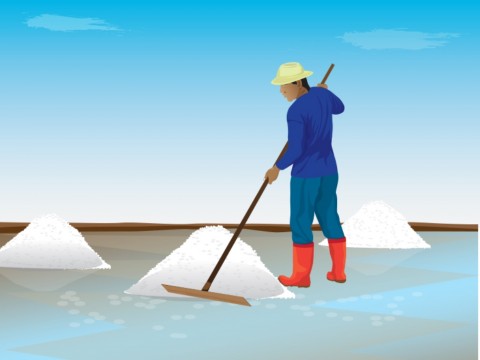 Metode Ini Bakal Tingkatkan Produksi Garam dalam Negeri
