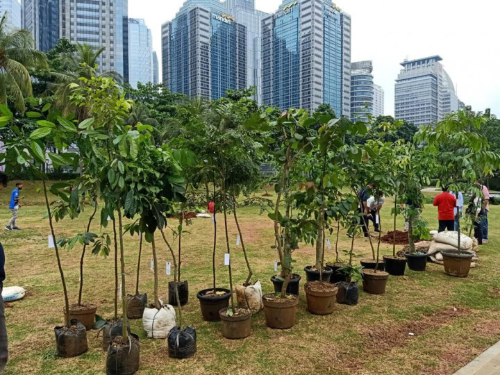PDIP Bakal Hijaukan Gelora Bung Karno