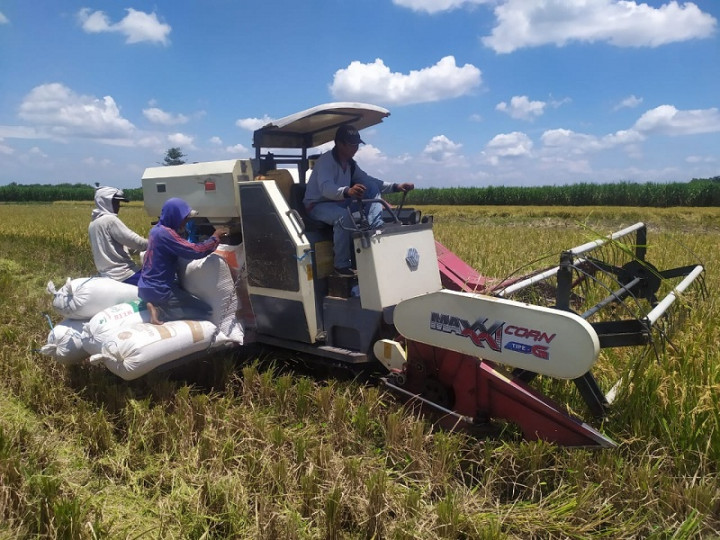 Pemkab Jombang Tolak Beras Impor