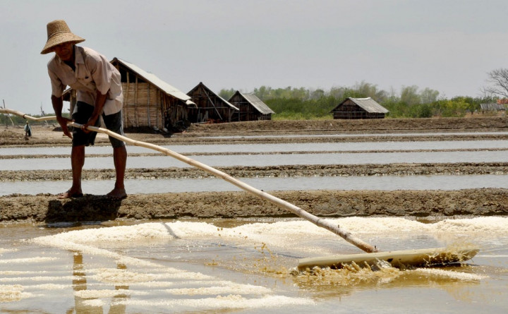 Pemerintah Diminta Tingkatkan Kualitas Petani Garam di Indonesia