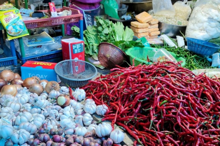 Panen Cabai Lampung Diprediksi pada Awal April