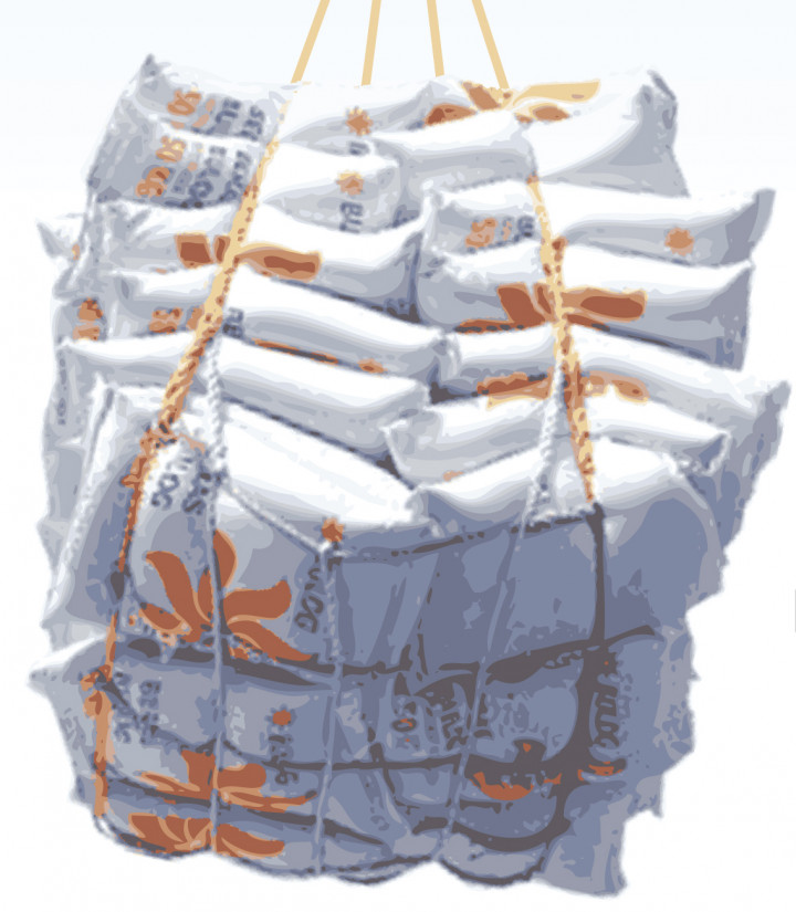 Kebijakan Impor Beras di Masa Panen Raya