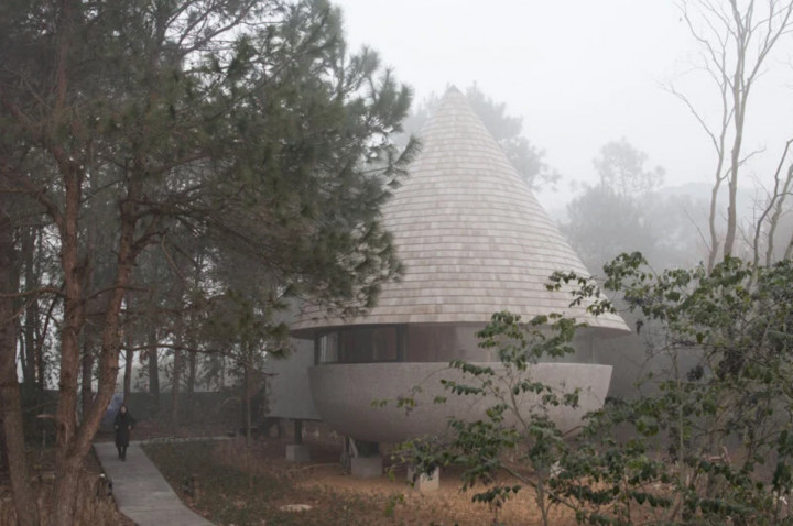 'Rumah Jamur' di Tengah Hutan Pinus