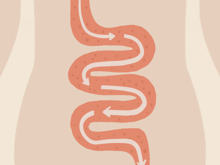 5 Cara Mudah dan Alami Lancarkan Sistem Pencernaan