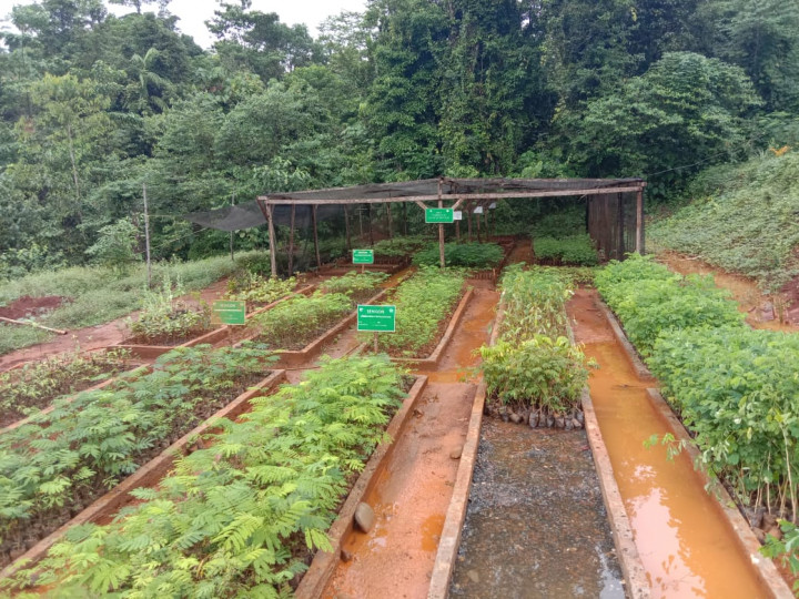 KLHK: Perusahaan Tambang Nikel di Kolaka Pemegang Proper Biru