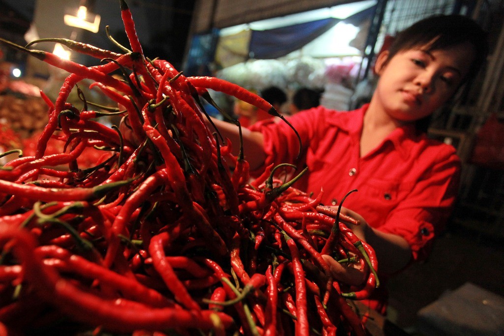Ilustrasi stabilisasi harga cabai merah - - Foto: Antara/ M Adimaja