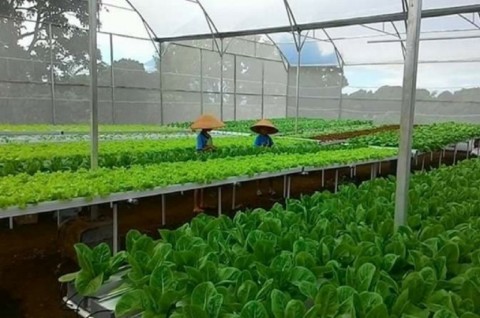 Kemenperin Desak Pelaku Industri Agro Terapkan Industri 4.0