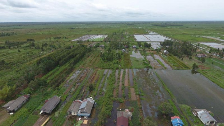 Mentan Dorong Percepatan Perbaikan Jaringan Irigasi di <i>Food Estate</i> Kapuas