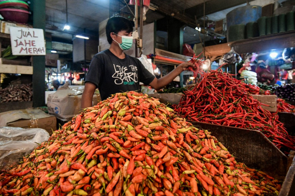 Pedagang sata menyortir cabai merah dan cabai rawit di Pasar Senen - - Foto: MI/ Andri Widiyanto