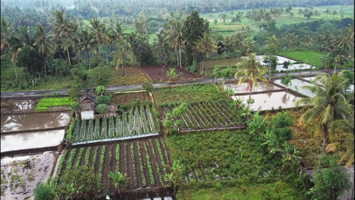 Pemerintah Didorong Maksimalkan Pengelolaan 74.500 Desa