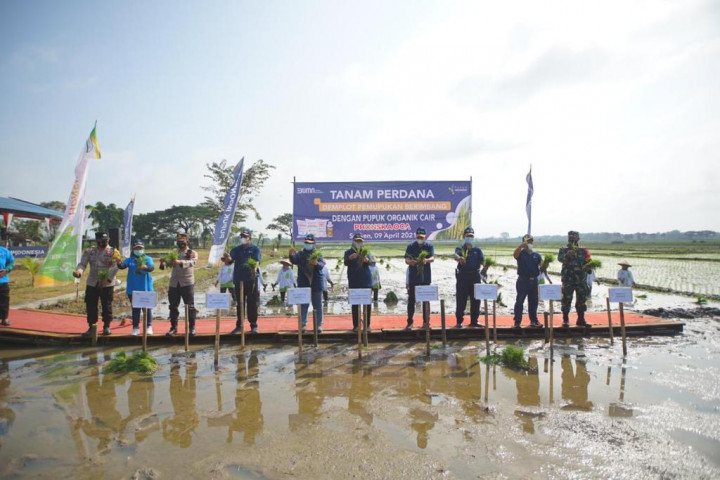 Pupuk Indonesia Edukasi Petani Terapkan Pemupukan Presisi