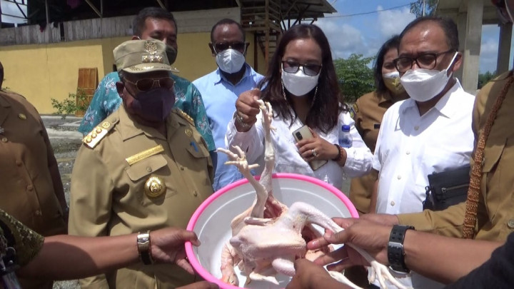 Pemda Mimika Mampu Memenuhi Kebutuhan PT Pangansari Utama