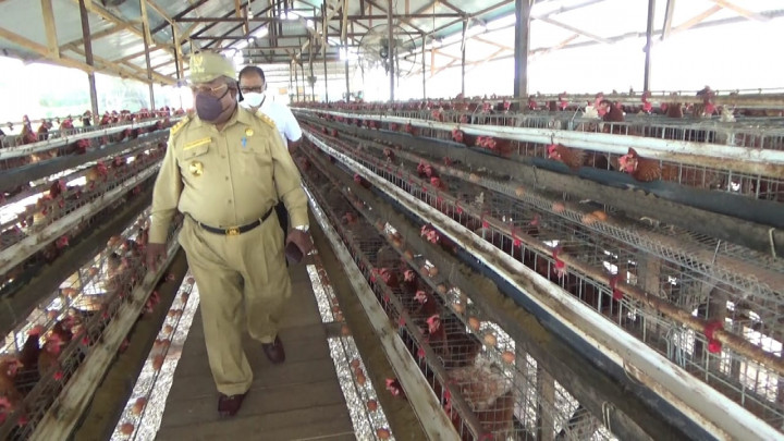 Pemkab Mimika Bentuk Perumda untuk Akomodir Pengusaha Lokal