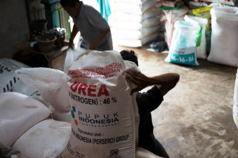 Hadapi Musim Tanam, Mentan Pastikan Pupuk Subsidi Tersedia di Kalimantan dan Sulawesi