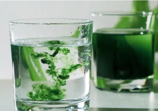 Manfaat Minum Air Klorofil untuk Kesehatan Tubuh