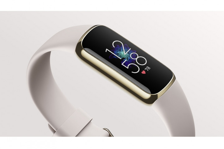 Fitbit Tengah Kembangkan Pelacak Fitness Mewah?