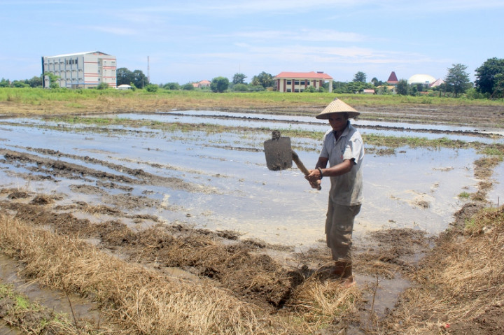 Minat Masih Rendah, Petani Sukabumi Terus Didorong Daftar AUTP