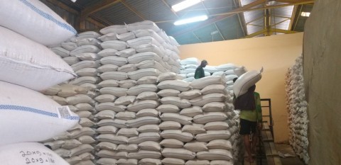 Tak Perlu Impor Beras, Bulog Klaim Mampu Penuhi Stok CBP