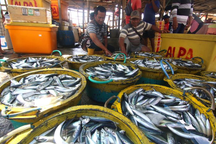 Pemerintah Pastikan Beri Sanksi Administratif pada Pencuri Ikan