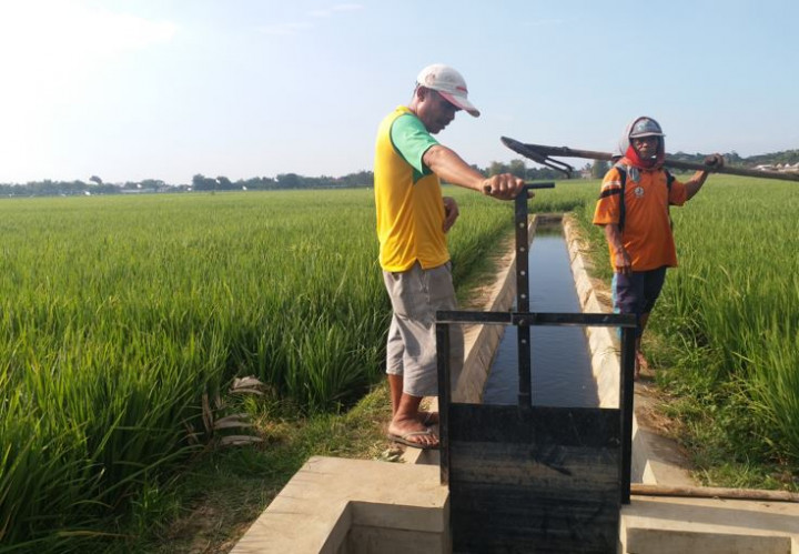 Padat Karya PUPR Bidang Air Serap 122 Ribu Tenaga Kerja