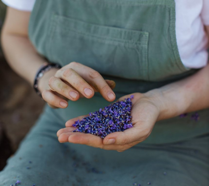 Manfaat Edible Flowers untuk Kesehatan Usus