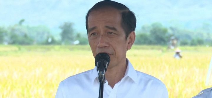 Presiden Ingin Varietas Padi di Kabupaten Malang Dikembangkan