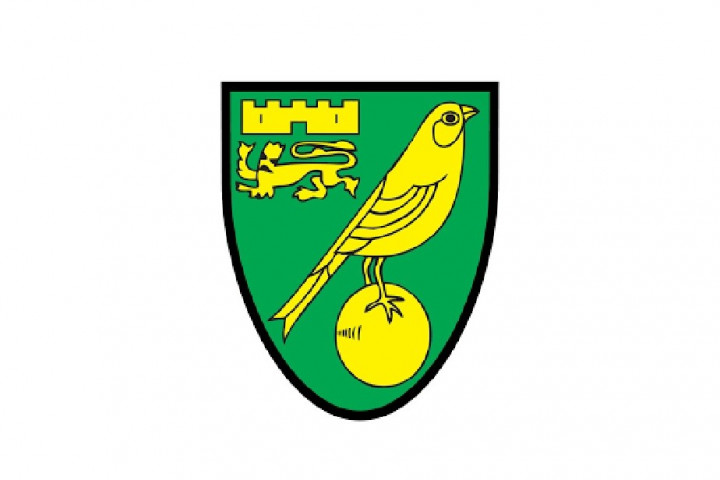 Norwich City Segel Gelar Liga Championship dan Tutup Slot Playoff Promosi