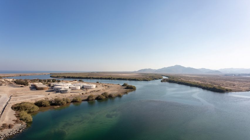 Desain unik tempat penangkaran penyu di Uni Emirat Arab. Foto: Mark Goodwin.