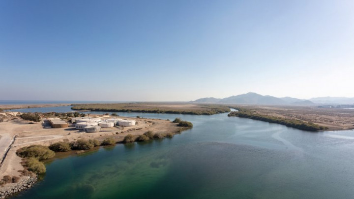 Unik, Begini Desain Penangkaran Penyu di UEA