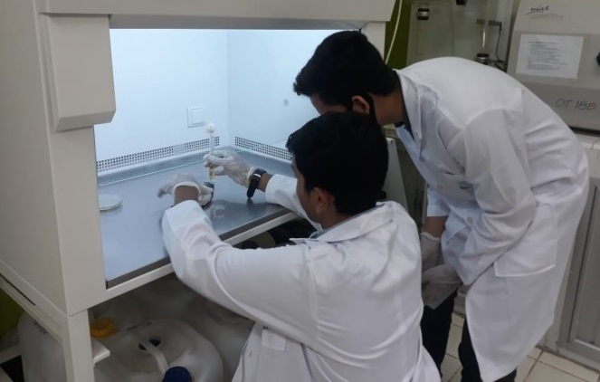 Haikal dan Ridzki, siswa Sukma Bangsa dari Aceh, mewakili Indonesia dalam ajang Regeneron International Science and Engineering Fair (ISEF) 2021.