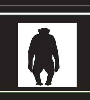 Memutus Rantai Perdagangan Ilegal Satwa yang Dilindungi