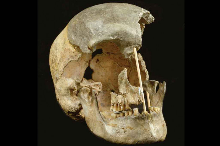 Potret Sisa-sisa Fosil Neanderthal yang Ditemukan di Gua Italia