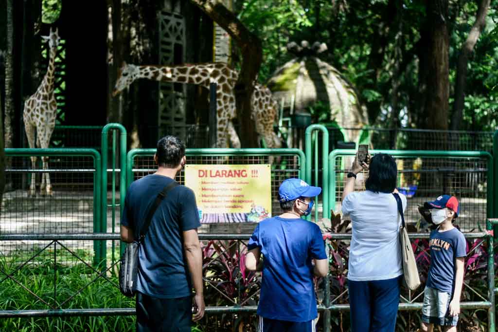 Taman Margasatwa Ragunan Kembali Dibuka Hari Ini