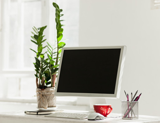 5 Tanaman untuk Percantik Meja Kerja saat WFH