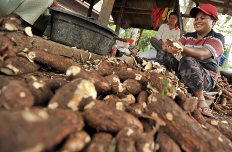 Indonesia Amankan Akses Pasar Singkong ke Uni Eropa