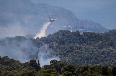 Kebakaran Hutan Yunani Dikhawatirkan Jadi Bencana Ekologi