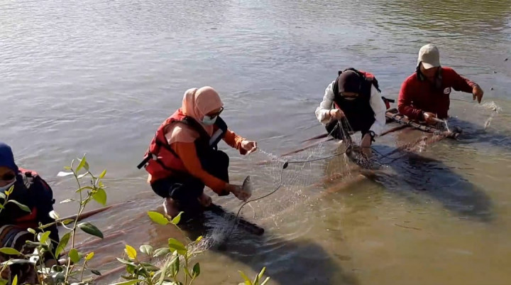 Susur Muara Bengawan Solo, Wisata Hutan Mangrove Sambil Menangkap Ikan
