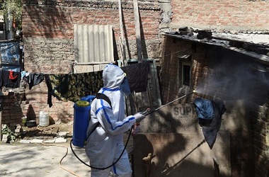 WHO Tak Rekomendasikan Pembatasan Perjalanan Terkait Flu Burung H10N3