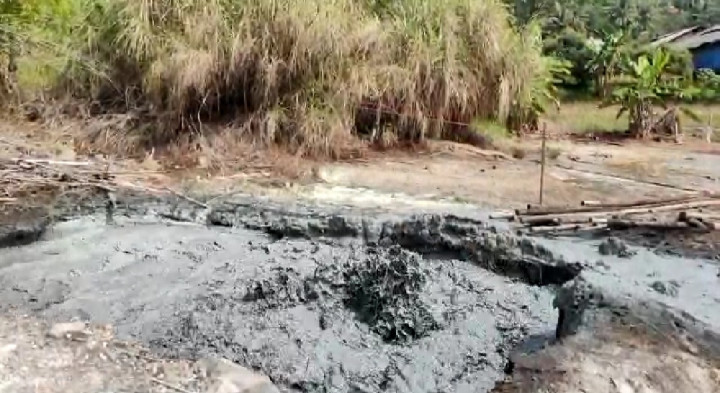 Semburan Lumpur di Cirebon Sebabkan Hewan Mati
