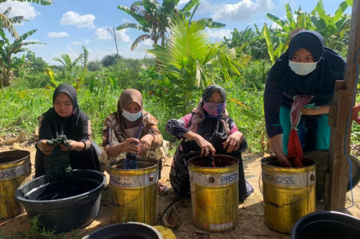 BRGM Dorong Pengembangan UMKM Daerah Gambut di Kalsel