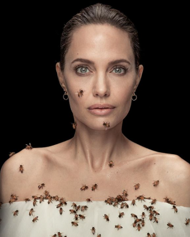 Keren! Peringati Hari Lebah Sedunia, Angelina Jolie Rela Dikerumuni Lebah