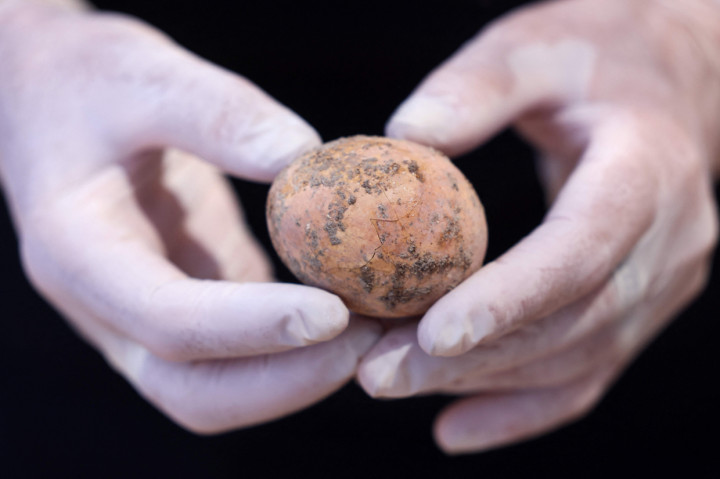Penampakan Telur Ayam Berusia 1.000 Tahun yang Ditemukan di Israel