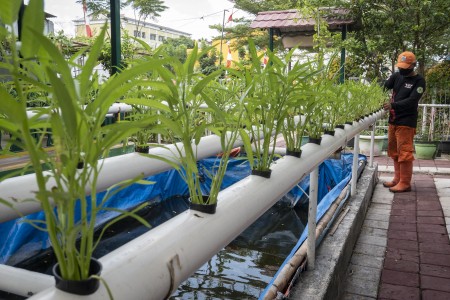 Lahan Aset Daerah di Jakpus Bakal Disulap Jadi Sumber Ketahanan Pangan