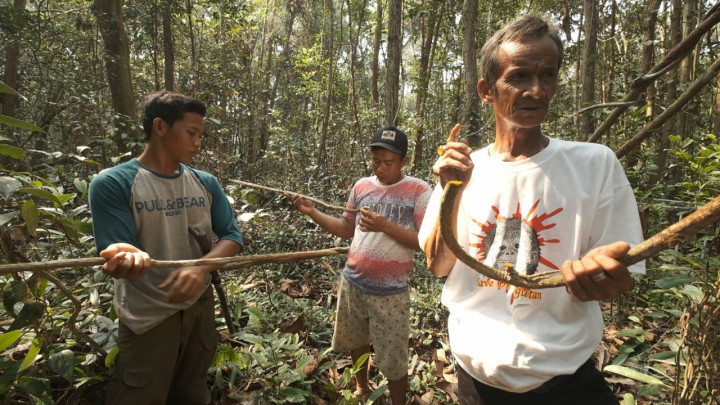 Bertahan di Tengah Ancaman Kebakaran Hutan