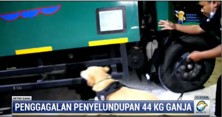 BNN Bali Sita Truk Berisi 44 Kg Ganja