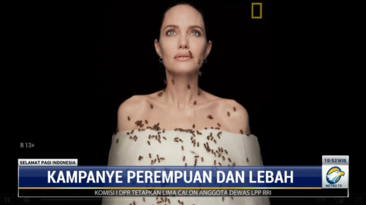 Peduli Pengungsi, Angelina Jolie Kunjungi Kamp Berbahaya di Burkina Faso