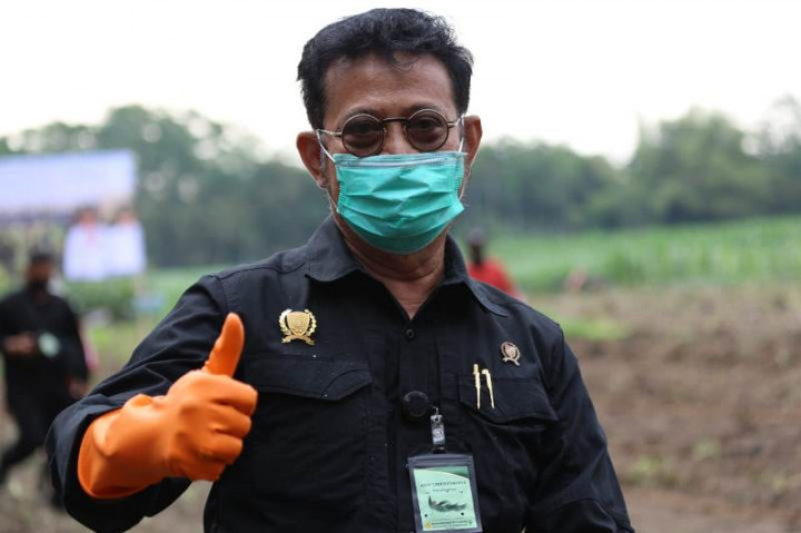 Program Kementan Dinilai Sudah Berjalan Baik