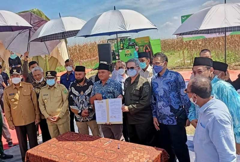 ?Wamentan Hadiri Panen Jagung di Pekanbaru. (Foto: Dok. Kementan)